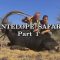 Antilope Safari – Part 1