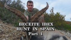 Beceite Ibex Hunt in Spain – Part 1