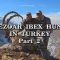 Bezoar Ibex Hunt in Turkey – Part 2