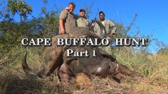 Cape-Buffalo-Hunt—Part-1