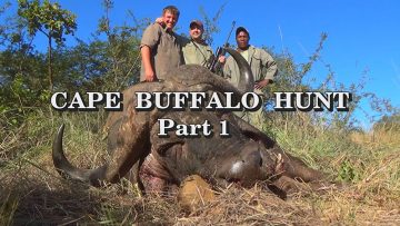Cape-Buffalo-Hunt—Part-1