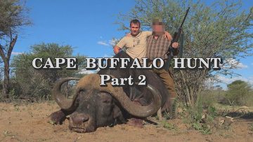 Cape-Buffalo-Hunt—Part-2