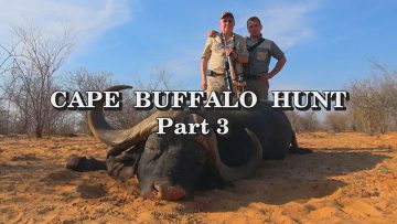 Cape-Buffalo-Hunt—Part-3