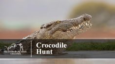 Crocodile-Hunt