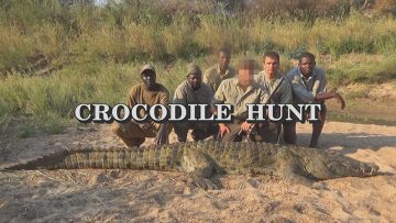 Crocodile-Hunt