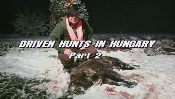 Driven-Hunts-in-Hungary—Part-2