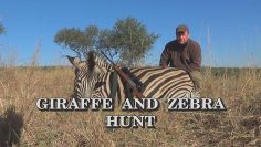 Giraffe-and-Zebra-Hunt