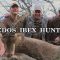 Gredos Ibex Hunting