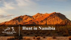 Hunt-in-Namibia