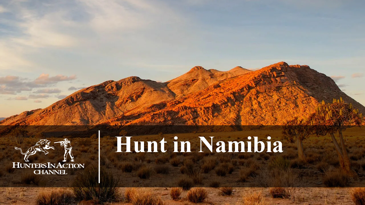 Hunt-in-Namibia
