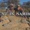 Hunt in Namibia