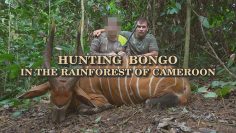 Hunting-Bongo-in-the-Rainforest-of-Cameroon