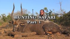 Hunting-Safari—Part-1