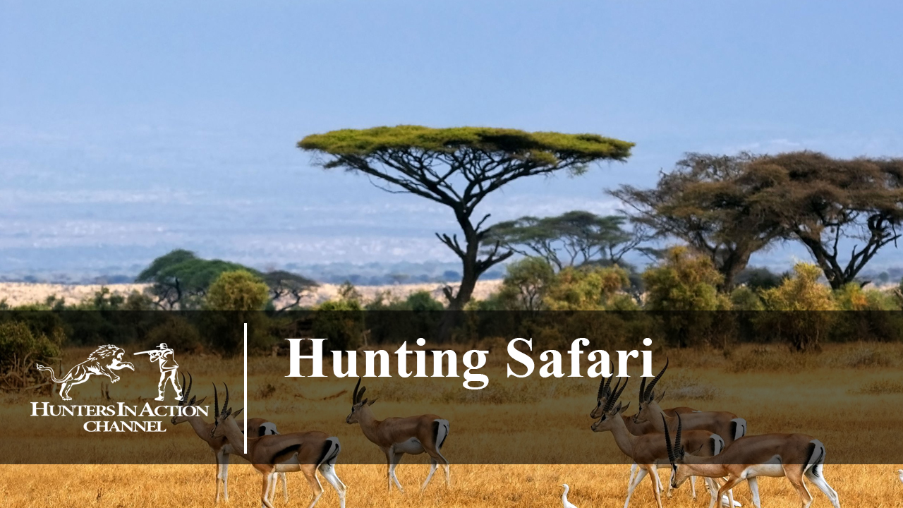 Hunting-Safari