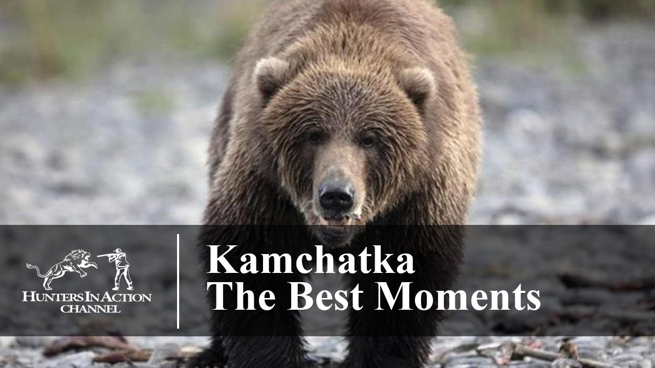 Kamchatka—The-Best-Moments