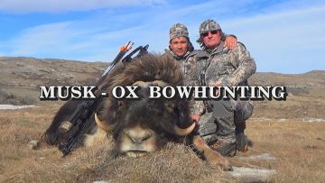 Musk-Ox-Bow-Hunting