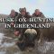 Musk Ox Hunting in Greenland