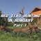 Red Stag Hunting in Hungary – Part 1
