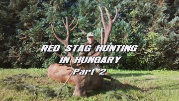 Red-Stag-Hunting-in-Hungary—Part-2
