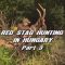 Red Stag Hunting in Hungary – Part 3