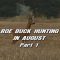Roebuck Hunting in August – Part 1
