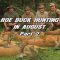 Roebuck Hunting in August – Part 2