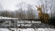 Selection-Hunts-in-Winter