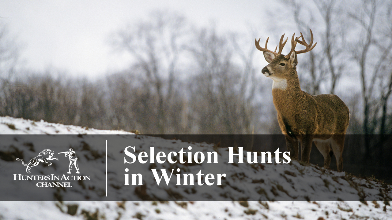 Selection-Hunts-in-Winter