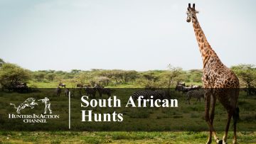 South-African-Hunts