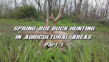 Spring-Roe-Buck-Hunting-in-Agricultural-Areas—Part-1