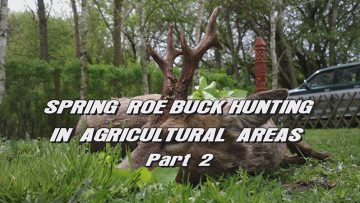 Spring-Roe-Buck-Hunting-in-Agricultural-Areas—Part-2