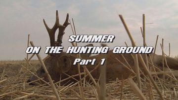 Summer-on-the-Hunting-Ground—Part-1