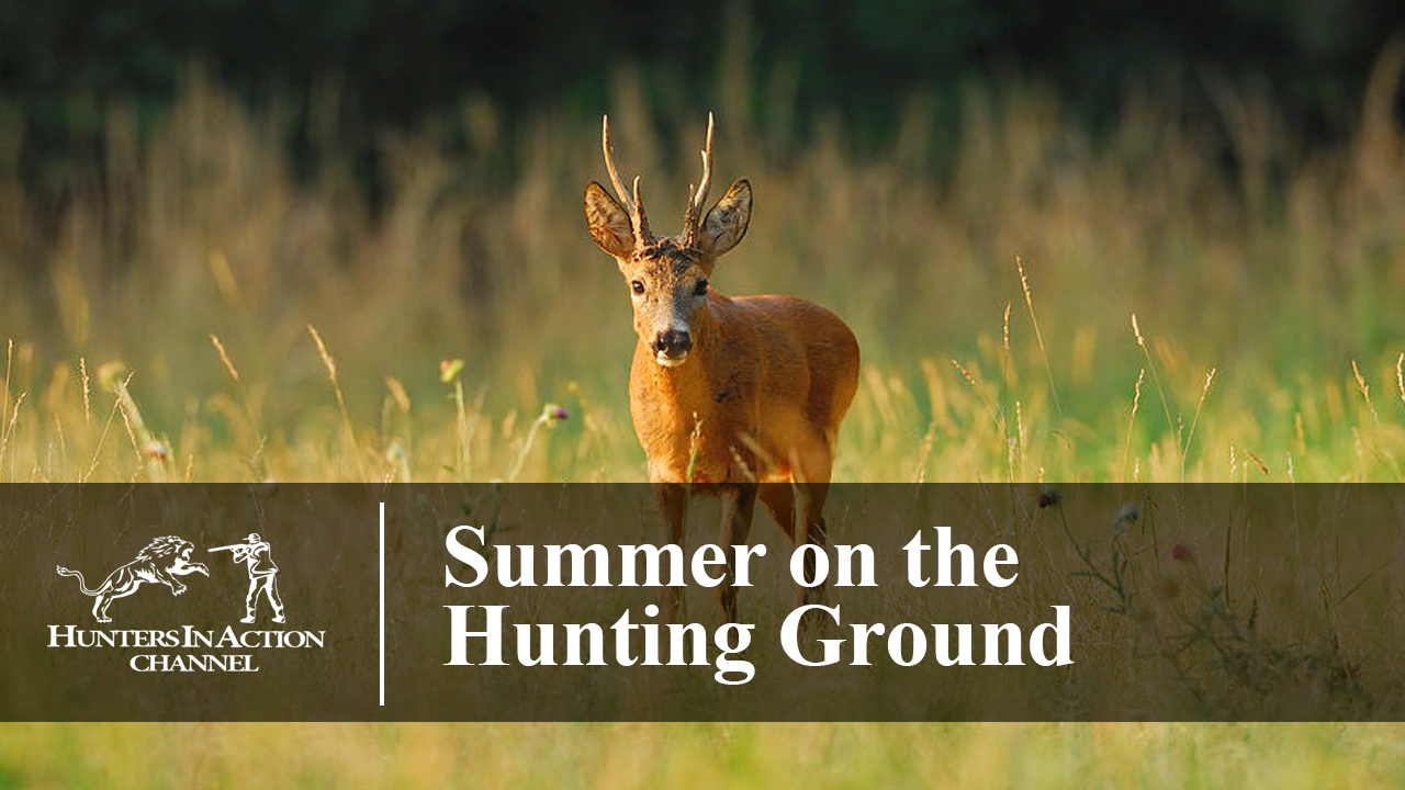 Summer-on-the-Hunting-Ground