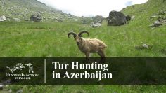 Tur-Hunting-in-Azerbaijan