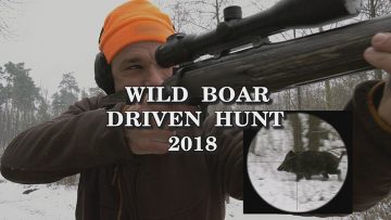 Wild-Boar-Driven-Hunt-2018