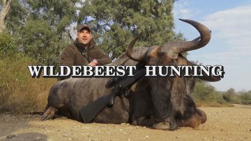 Wildebeest-Hunting