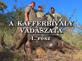 A kafferbivaly vadaszata 1