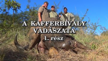 A kafferbivaly vadaszata 1