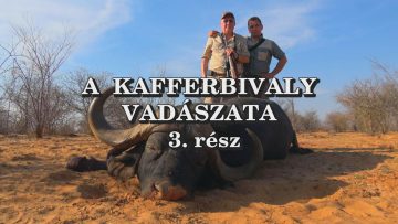 A kafferbivaly vadaszata 3