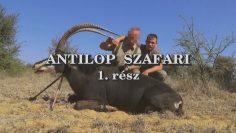 Antilop szafari 1