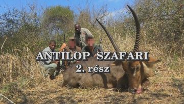 Antilop szafari 2