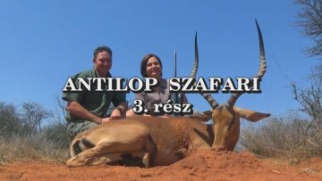 Antilop szafari 3