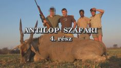 Antilop szafari 4