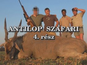 Antilop szafari 4