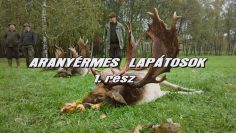 Aranyermes lapatosok 1