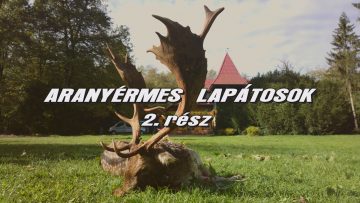 Aranyermes lapatosok 2