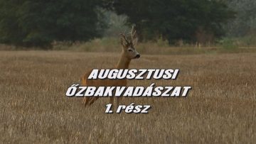 Augusztusi ozbakvadaszat 1