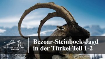 Bezoar-Steinbock-Jagd-in-der-Türkei-Teil1-2