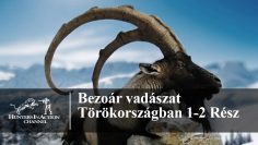 Bezoár-vadászat-Törökországban