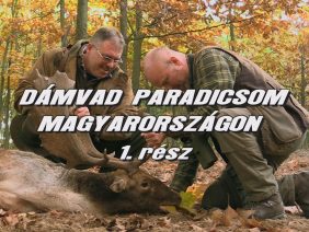 Damvad paradicsom Magyarorszagon 1